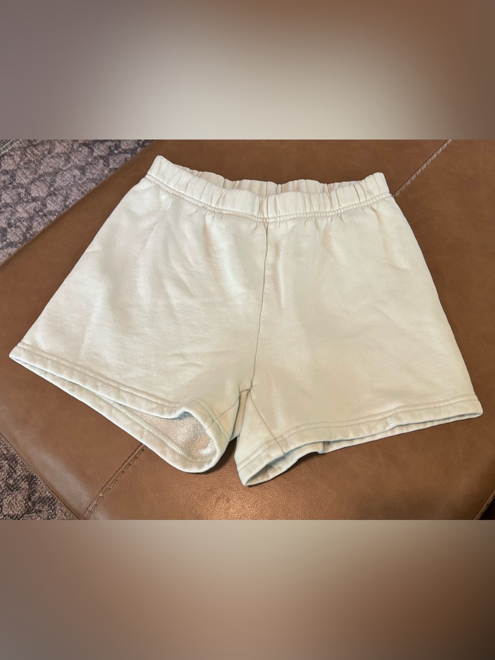 Aritzia TNA Sweat Shorts